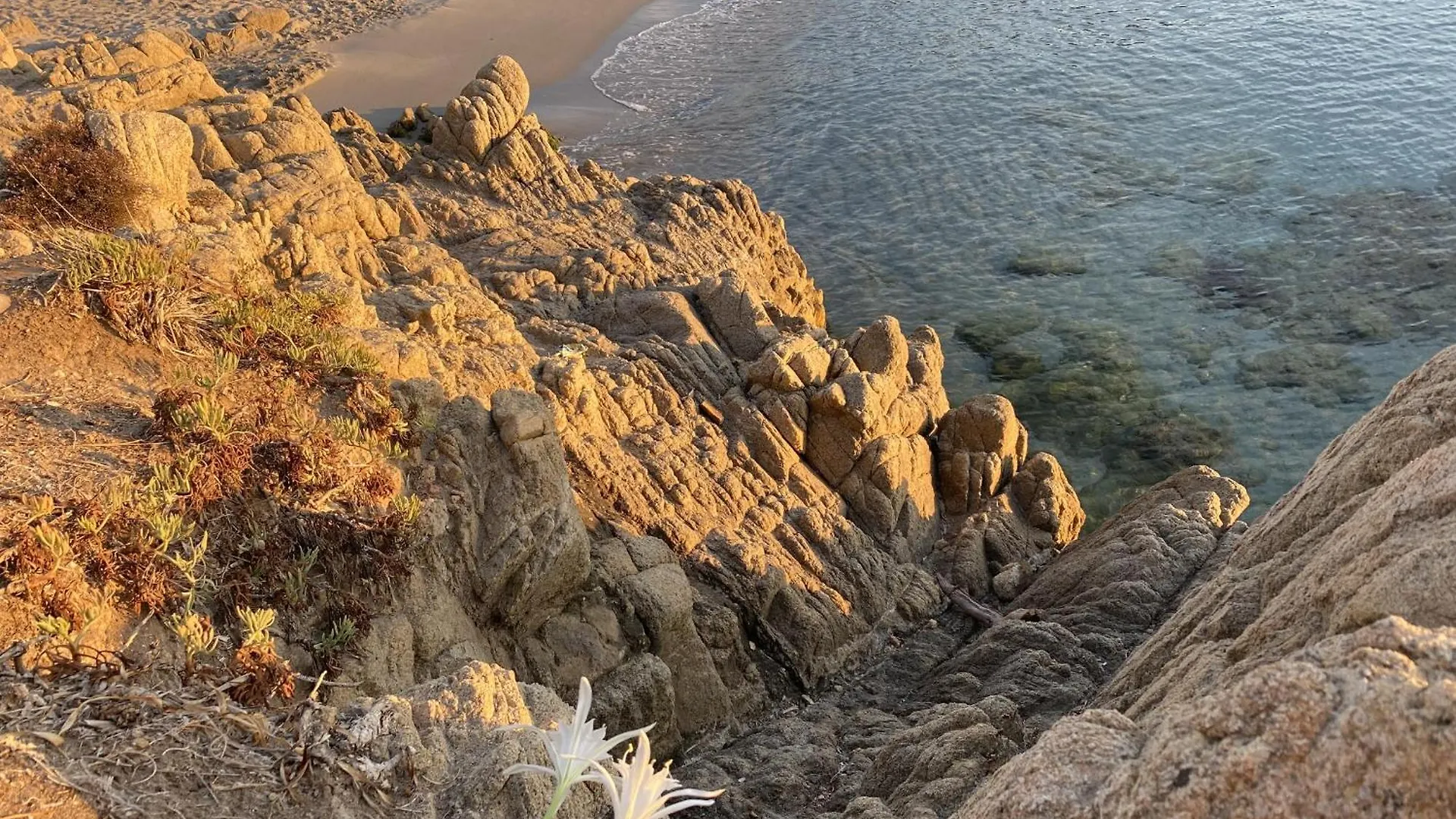 Costa Est Apartments Cala Liberotto 0*,
