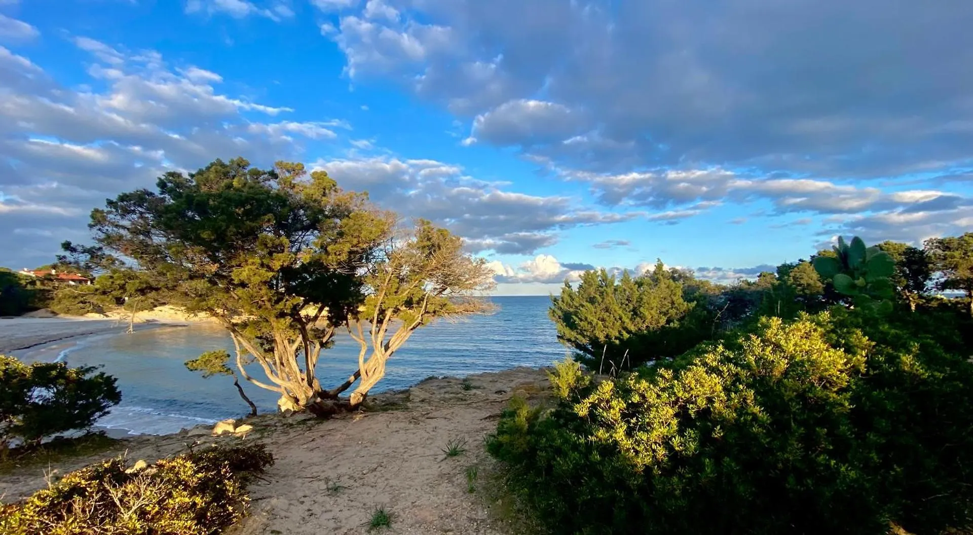 Costa Est Apartments Cala Liberotto